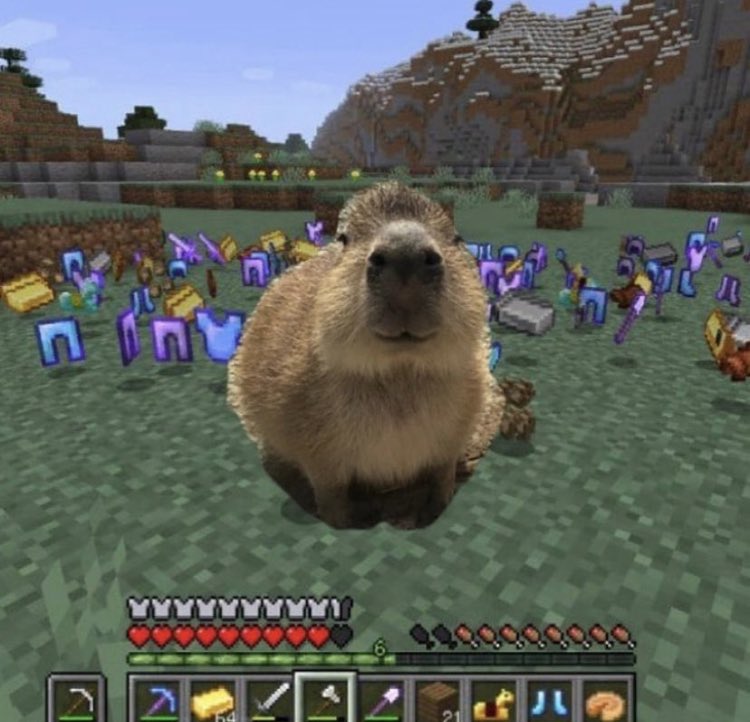 CapybarasForLife (@capys_for_life) on Twitter photo 