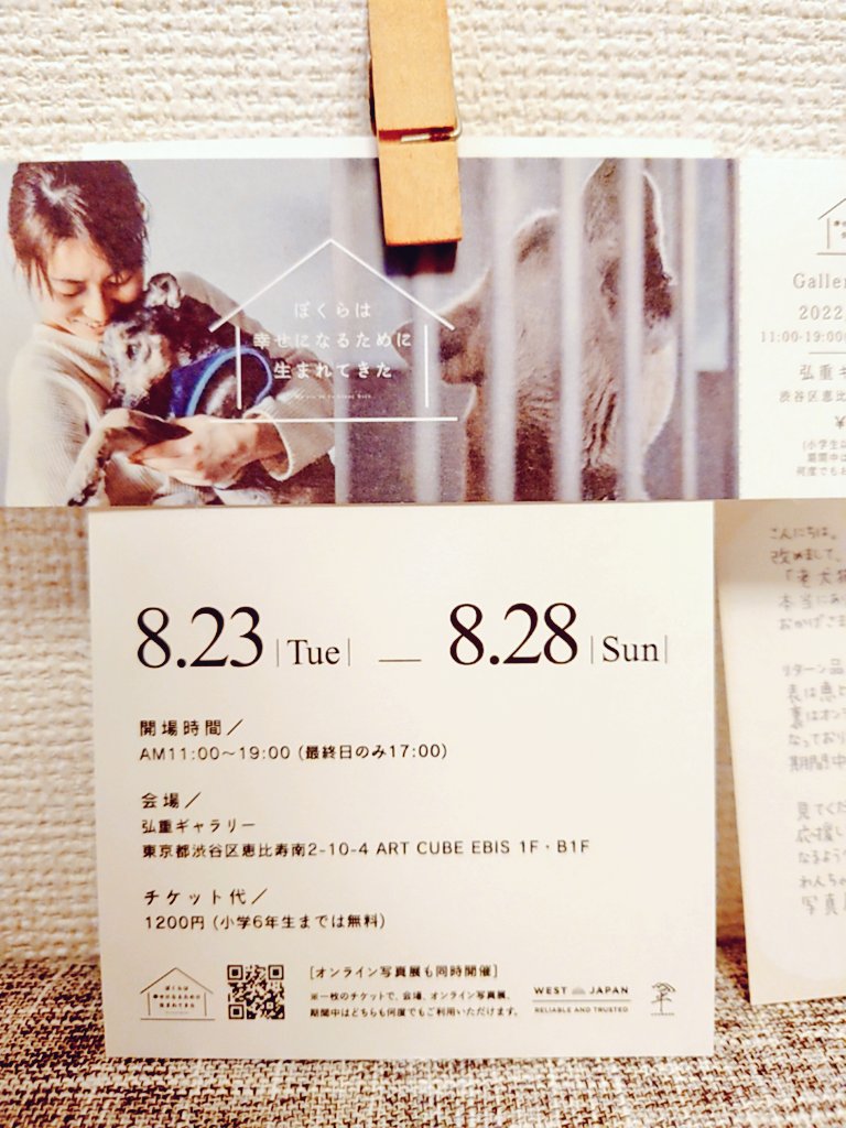 akikono2404's tweet photo. 無事チケットとお手紙受け取りました📮
ありがとうございます❤
楽しみにしています🐶😺
#東京写真展 #オンライン写真展 #犬のいる暮らし #猫のいる暮らし #保護猫 #保護犬 #殺処分 #ぼくらは幸せになるために生まれてきた https://t.co/odzgoG9Mpf
