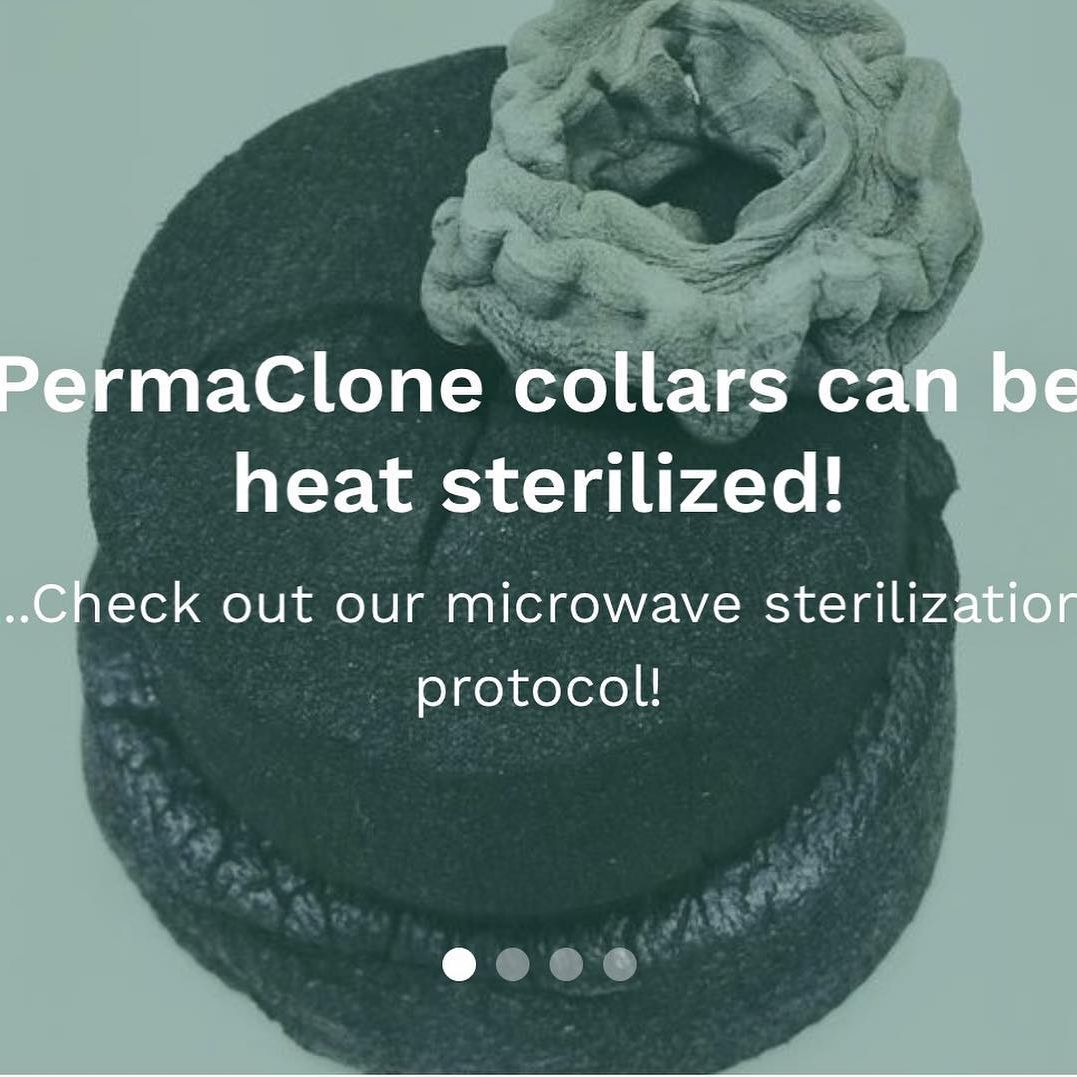 PermaClone's tweet photo. #PermaClone #GetSterileGetCloning https://t.co/mFvVYLthvd