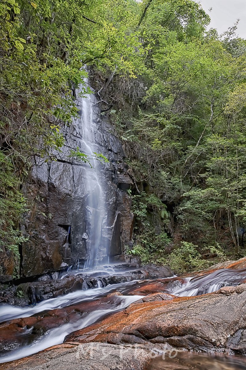 houwakougyou's tweet photo. 📷2022,08,07
ー 瀬戸大滝 ／#風景 ー
- Seto Otaki / #Landscape -
#岩屋堂
#Waterfall #Clearstream #Waterspray #Clarity #WaterLandscape #WaterSound #Nature #Sightseeing
#LandscapePhotography #landscapecaptures
#light_nikon #Nikon #D780
#Rawtherapee #GIMP #Nikcollection #Jtrim https://t.co/6i0T3R2tZR