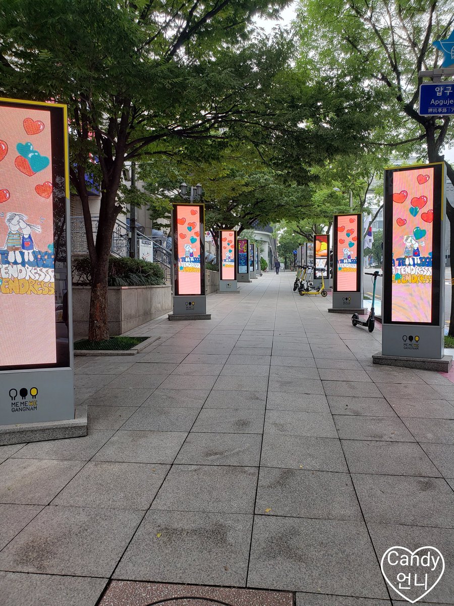 seoul_by_candy's tweet photo. こんにちは😃

 #狎鴎亭ロデオ 駅２番出口を出て、直進する道は #K_STAR_ROAD という名前があります😊
#Kポップアイドル の熊のモニュメントが #清潭駅 方面へと続いてます

このモニュメントを辿って、お散歩してみては、いかがですか？

#PSY #2PM https://t.co/9eOsPKWJnD