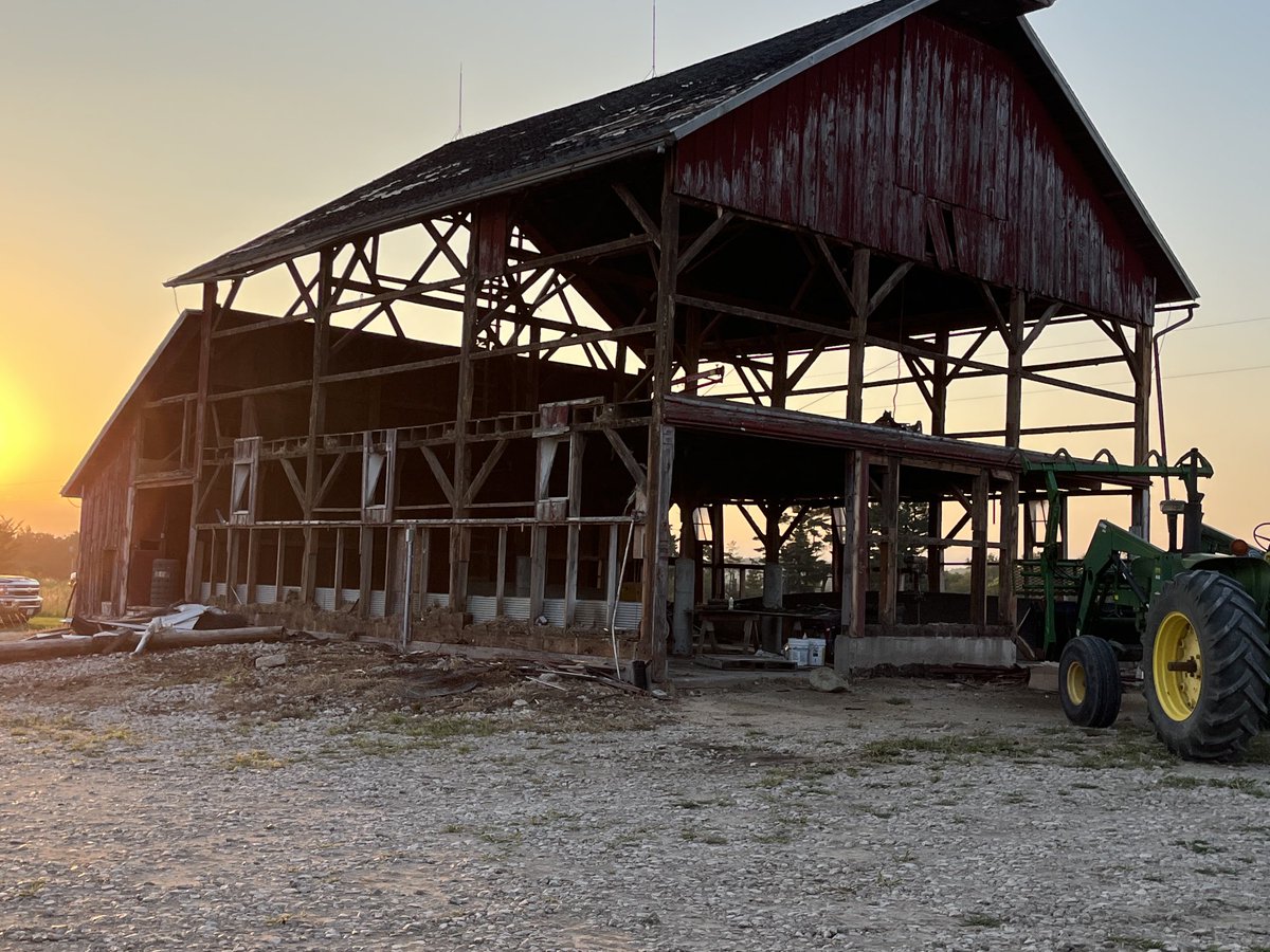 devon_schott's tweet image. The old barn at our home place is coming down board by board.  When I was growing up my dad used to fill this barn with beans, it would hold 5000 bushels.  We would put a diesel tractor inside with a PTO auger and a pig tail sweep.  Now our bins have power sweeps 🥰
