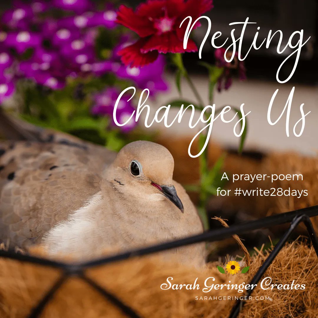 SarahLynneCR's tweet image. Nesting Changes Us is a prayer of transformation. I hope this prayer-poem inspires you today. I can't wait to hear what you came up with. Read mine here: buff.ly/3JOvLaV #nesting #change #preparingourfuture #prayerpoem via @SarahGeringer