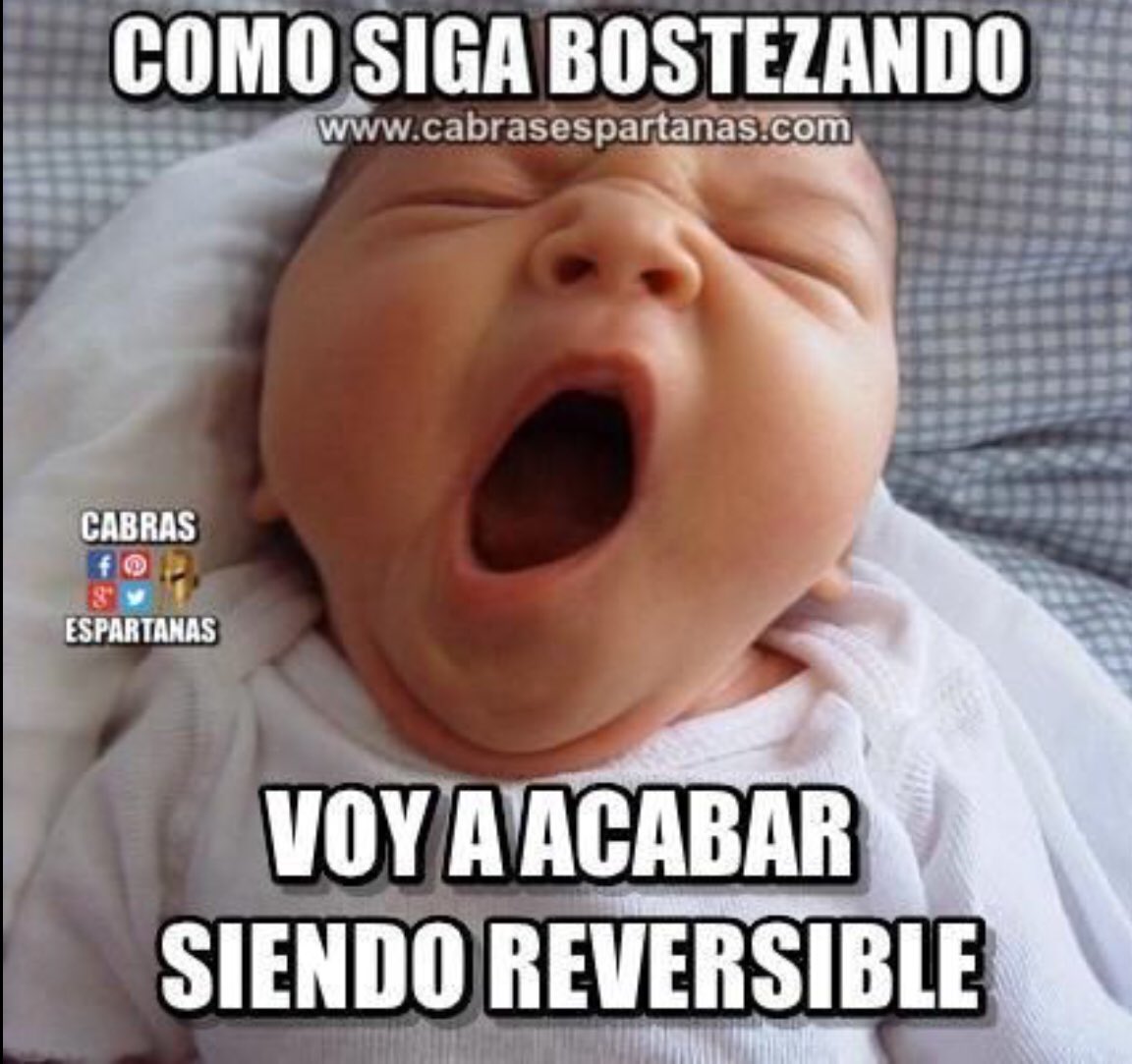 fedoraletelier's tweet photo. @cardenaldo Boric destruye relato❗️
Lo que le sale de corrido es el discurso comunista.
y las cifras❓ .....hum, eh, ah, y , oh , ey, eeeee, he, ja, hum, “algo parecido, no lo recuerdo” 😳
#Latero y #Dictador
#RechazoElMamarrachoComunista https://t.co/9kMZB9Ublz