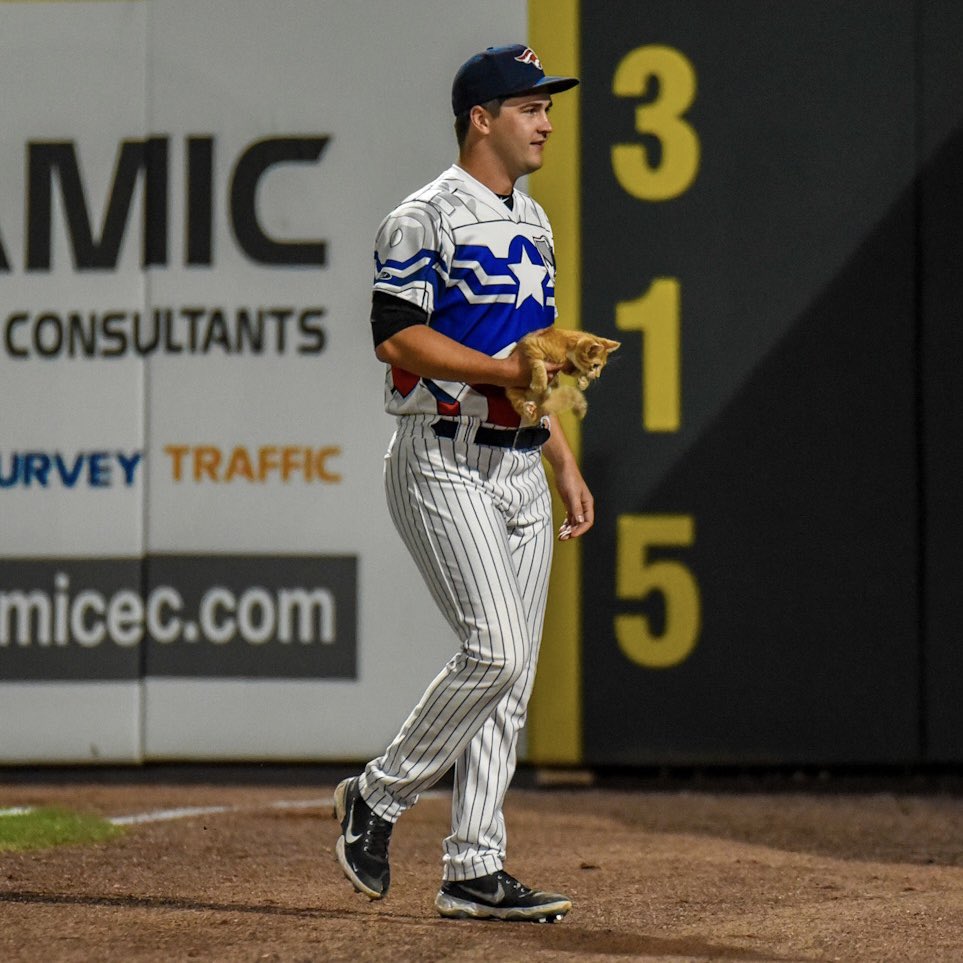 Cat’s out of the bag!😸