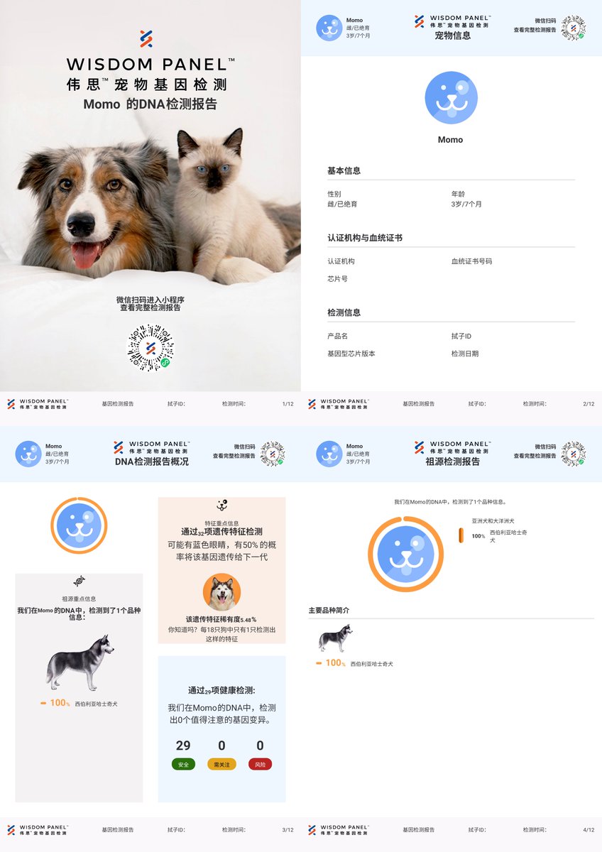 Naomi Wu 机械妖姬 tweet media