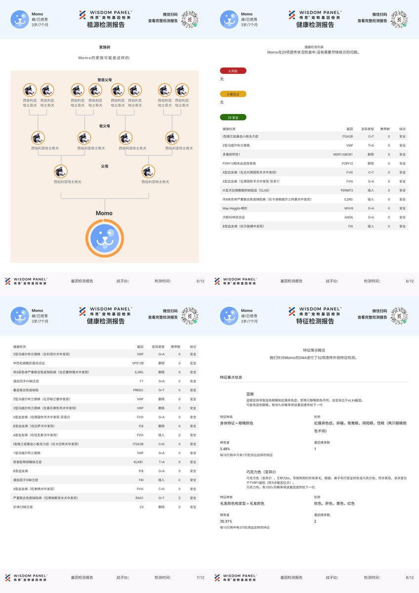 Naomi Wu 机械妖姬 tweet media