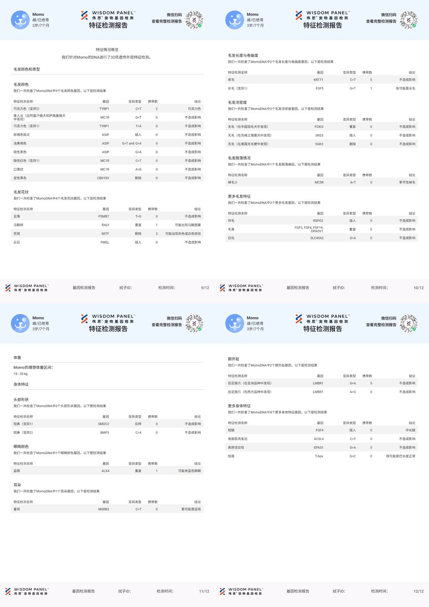 Naomi Wu 机械妖姬 tweet media