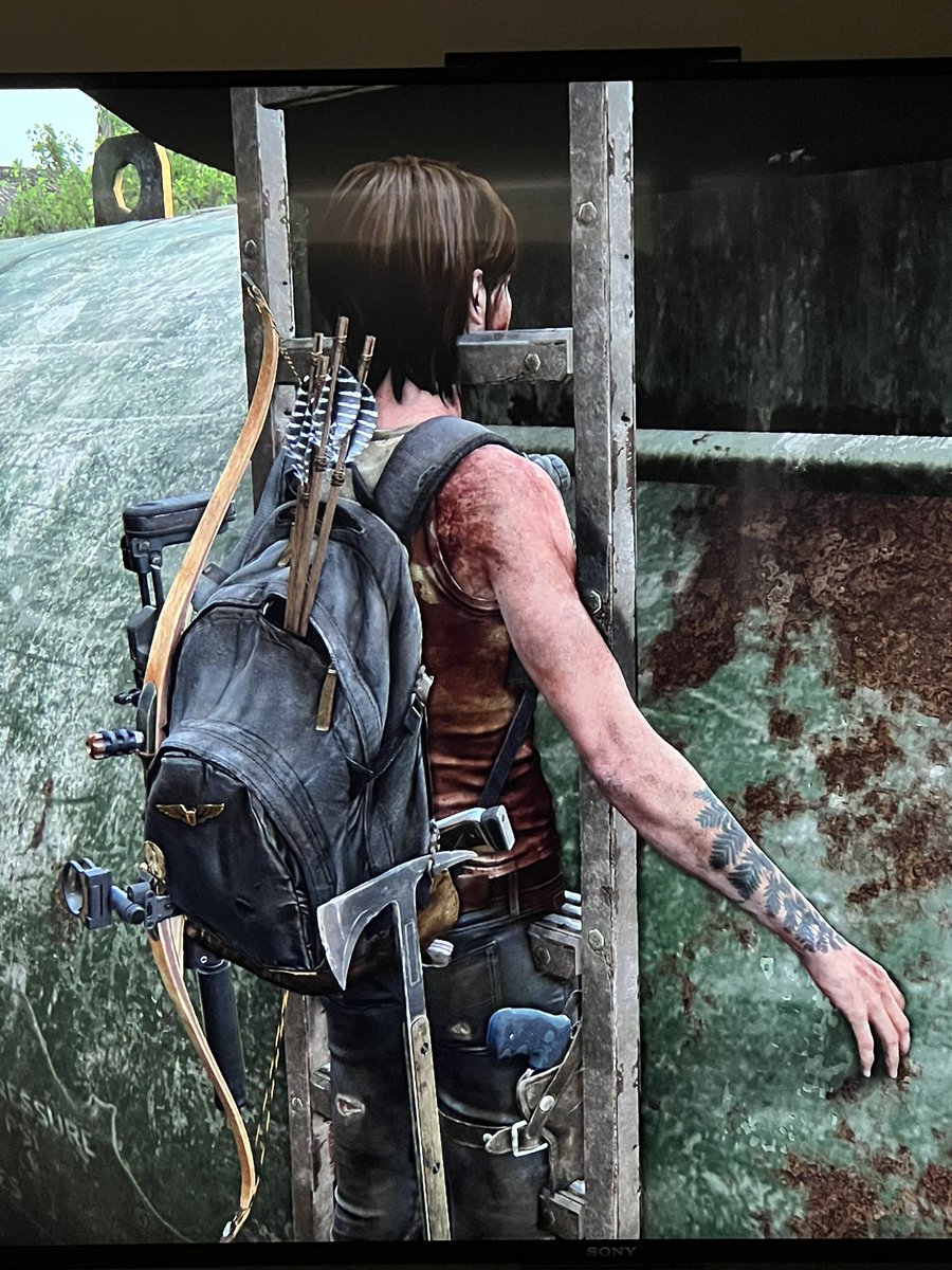 Johnny Iucci tweet media