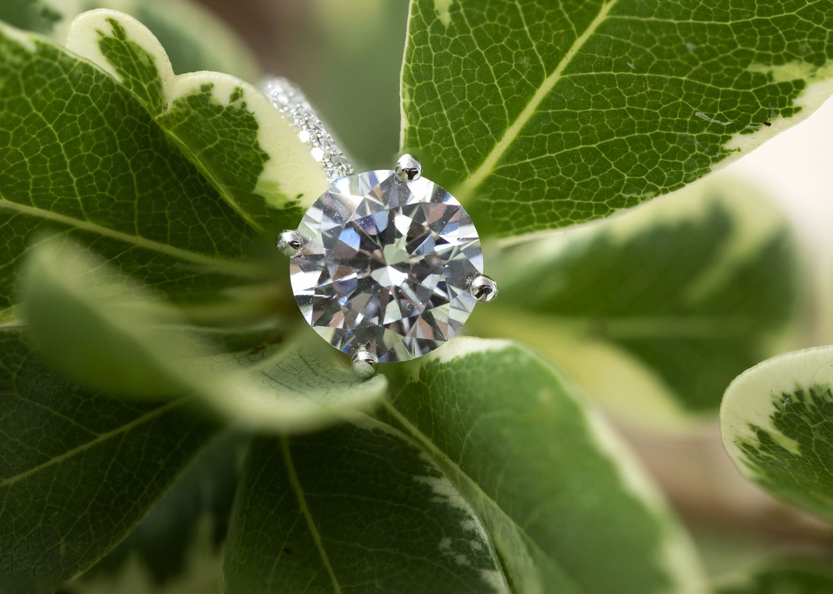 TheDiamondRoom's tweet photo. Say yes to love with The Diamond Room. 💍
#thediamondroom  #siouxfallsengagementring #siouxfallsdiamond  #yourloveyourstory #engagementring https://t.co/qJpuyuqDiJ