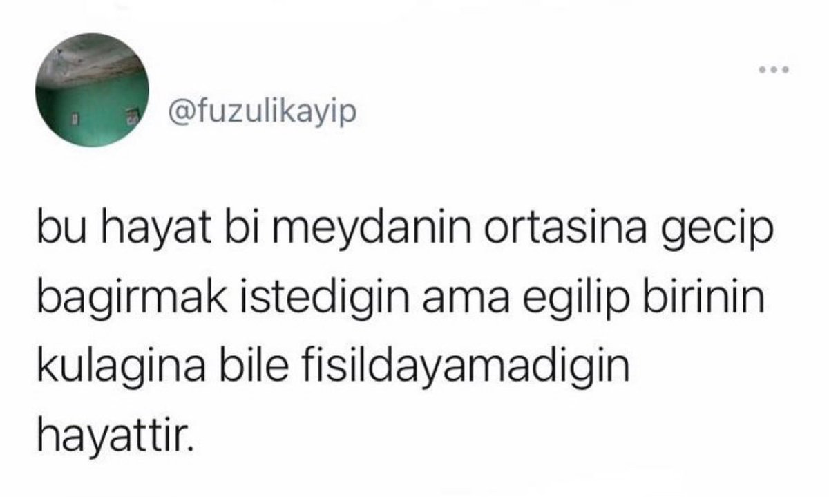 Alnı Öpülesi Tivitler (@alniopulesitivt) on Twitter photo 