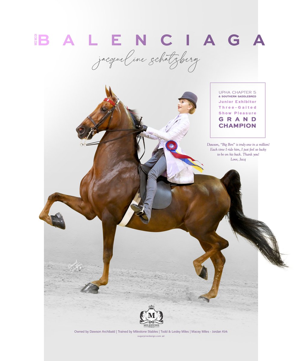 TNH1865's tweet photo. #nationalhorseman #worldschampionship #uphachapter5 #southernsaddlebred #jacquelineschatzberg #archibald #milestonestables #3gaited #saddlebred https://t.co/OSW2FdfWHR