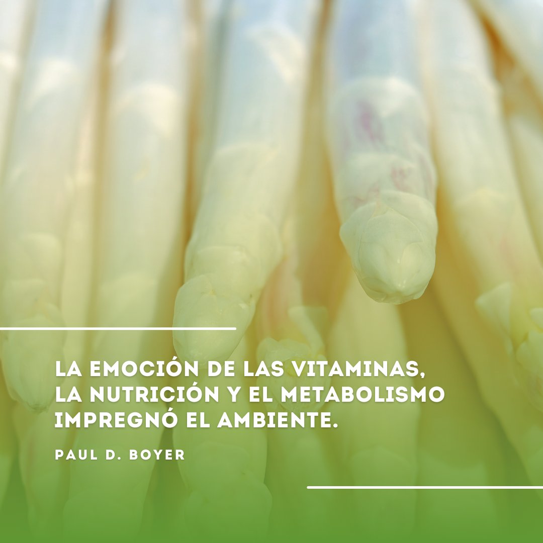 Alysonrg191's tweet photo. Frase de hoy #frasedehoy #frasesdenutricion #alimentacionsaludable #tipsalimentacion https://t.co/vSOU4dWRAv
