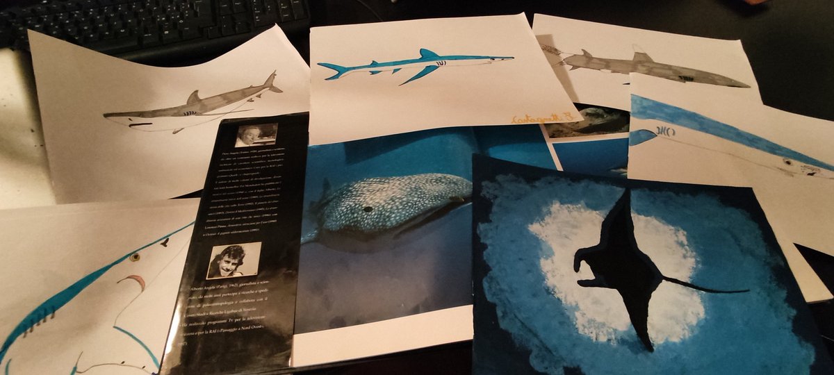 Per la promozione di quinta elementare ricevetti in regalo dai miei genitori il volume illustrato Squali, a cura di #PieroAngela, #AlbertoAngela e #LucaRecchi, non sono finito ad occuparmi di Oceanografia.. ma la scienza non mi ha mai abbandonato.
Grazie!