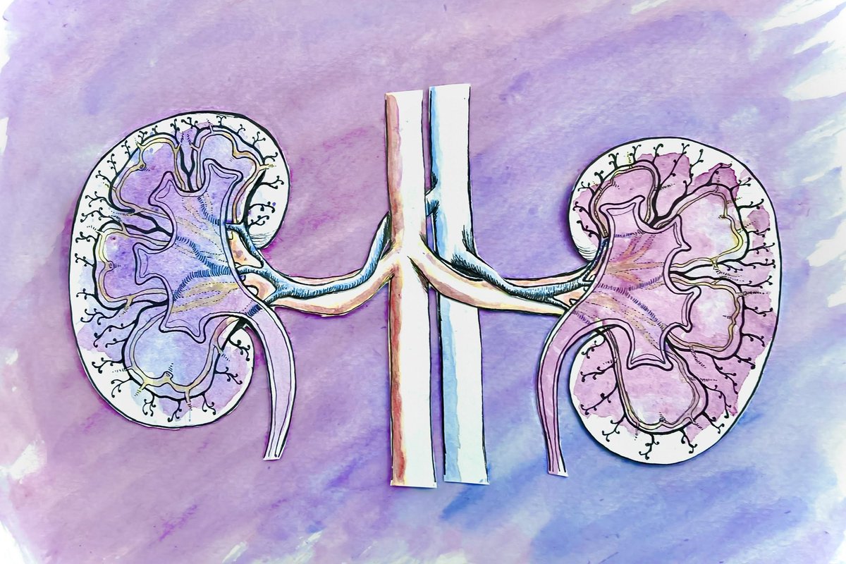 graefunkdesign's tweet photo. Happy 1st Kidney-Versary, Liam &amp; Jacquie! I made this piece for them last fall after my legendary bro @lgerussi gave his kidney to his incredible wife @JacquieSchifano 
Love you guys!
#2Become1 #kidneydonor #kidneyart #watercolour #illustration #kidneytransplant #graefunkdesign https://t.co/y3hEsHAn4q
