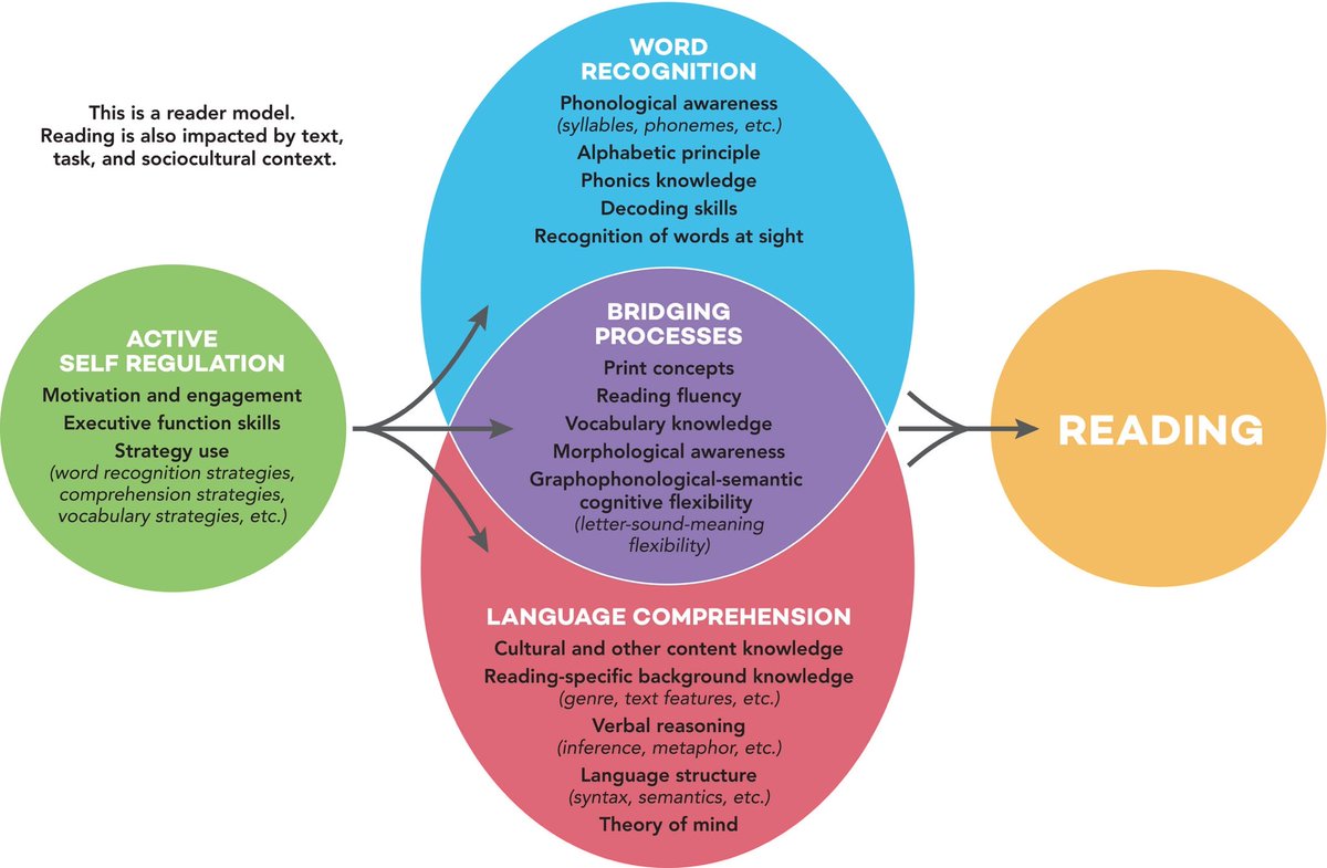 drcorteswrites's tweet photo. The active view of reading. (Duke &amp; Cartwright, 2021). 

#reading #scienceofreading #teachertwitter #edutwitter #activeviewofreading https://t.co/CUEbbqq7Zo