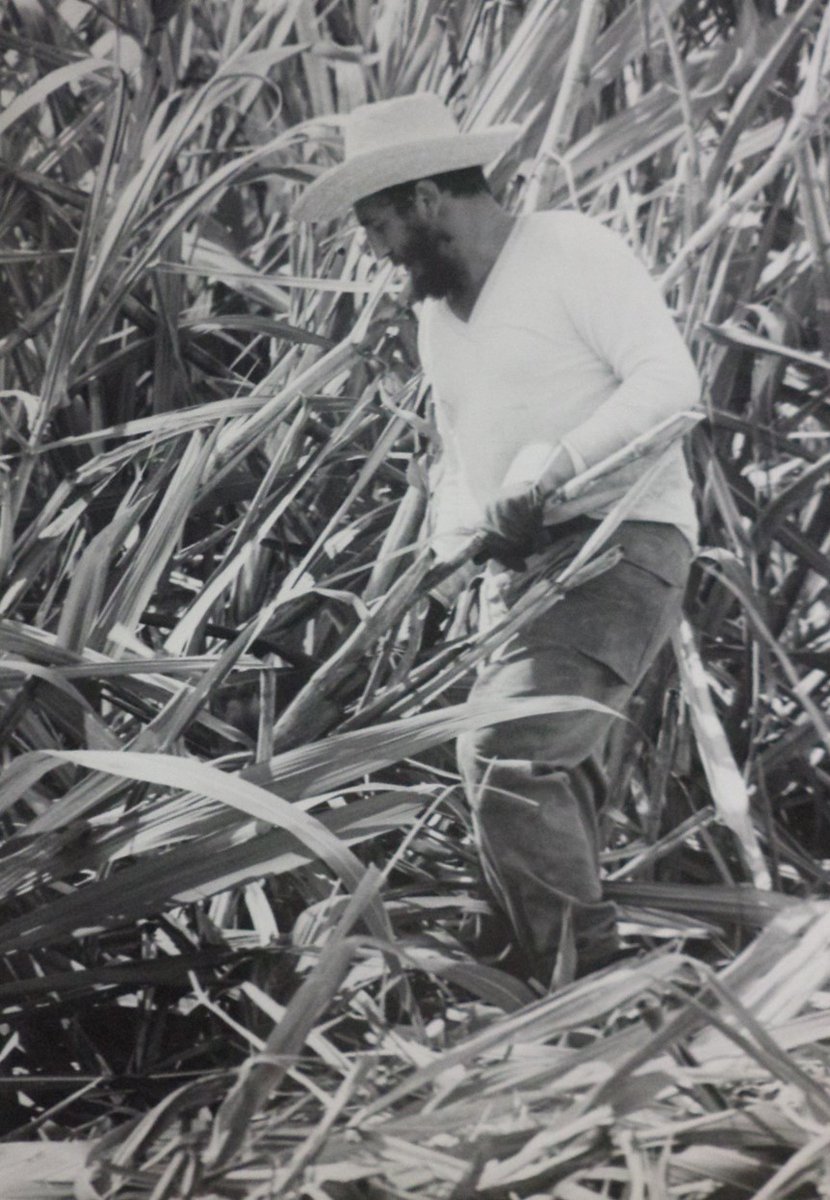 EconomistaXCuba's tweet photo. @ReyesDayainis @mambi83 @ScorpionKillerZ @CuartoCiber @Pastornidia @FeblesCarmona @raudel_leon @Ana_Hurtado86 @GarciaSabrinaS @diaz_rive3 Hoy cumpliría 96 años nuestro líder. El estadista que sintetizaba en su persona saber y valor; conciencia y coraje. Permanecerá en el corazón y en el pensamiento de todos los agradecidos, de todo un pueblo digno de su continuidad
#FidelPorSiempre #96Fidel
#FidelEntreNosotros 🇨🇺 https://t.co/Dm6H6YmjoH