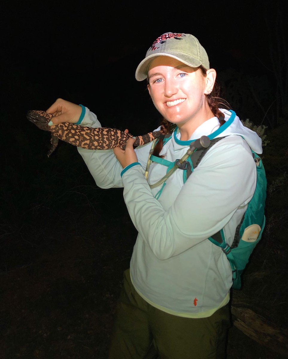 ScienceWithSav's tweet photo. I met a Gila Monster 😭😭😭😍😱🥹

Life. Made. 

#biglizard #love #yay 

(Handled under research permit) https://t.co/FFpfnu20YN