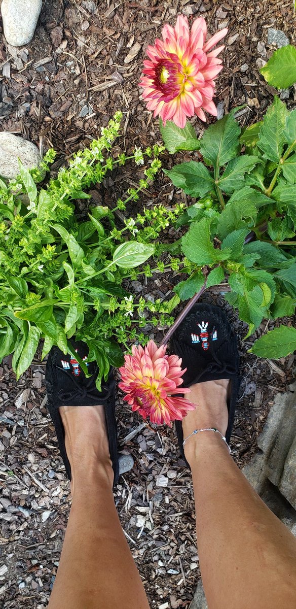 solevixen357's tweet photo. Nature is the real MVP!

#minnetonkamoccasins 
#moccasins 
#Solevixen357 
#dahlas
#basilflowers
#nature
#softsoleshoes 
#softsolemoccs https://t.co/iNnfltOkBx