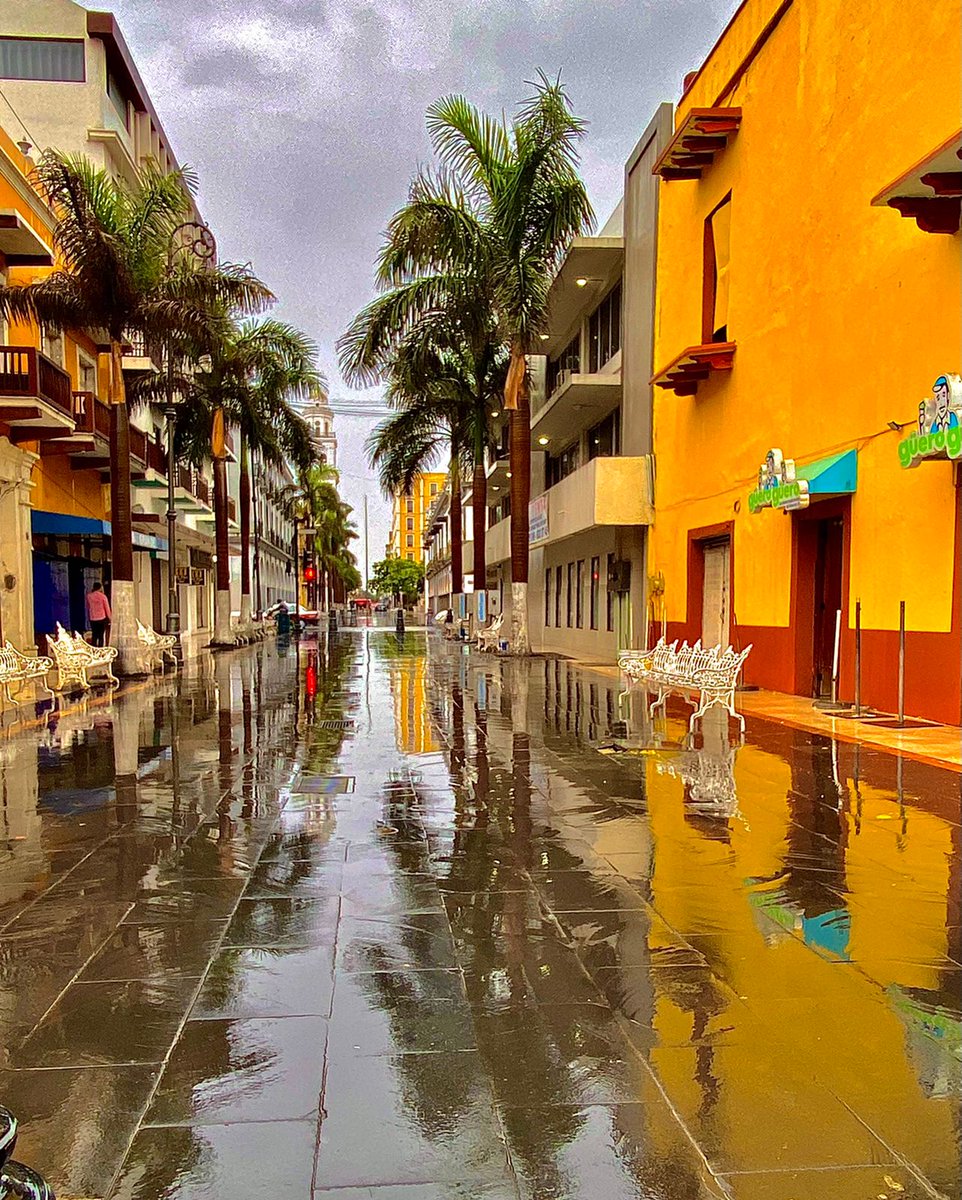 jsierraalvarez's tweet photo. ¡Buenos días!  Feliz #domingo desde el corazón de #VeracruzChingón. 

La imagen de @fotogarrido https://t.co/NrsZu4W7ax