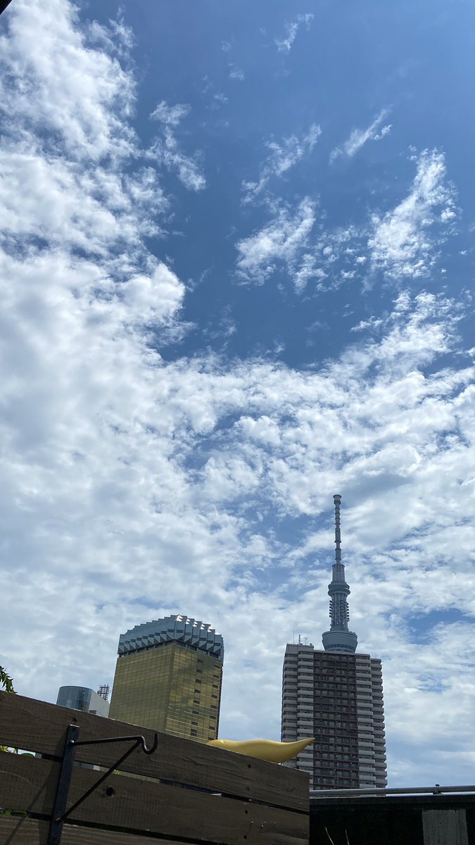 tsukino_asakusa's tweet image. 台風一過。
晴れました！
お盆最終日はランチ、夜共に営業です！
#中東ワイン　#中東料理　＃浅草路地裏
#中東ワインを日常に