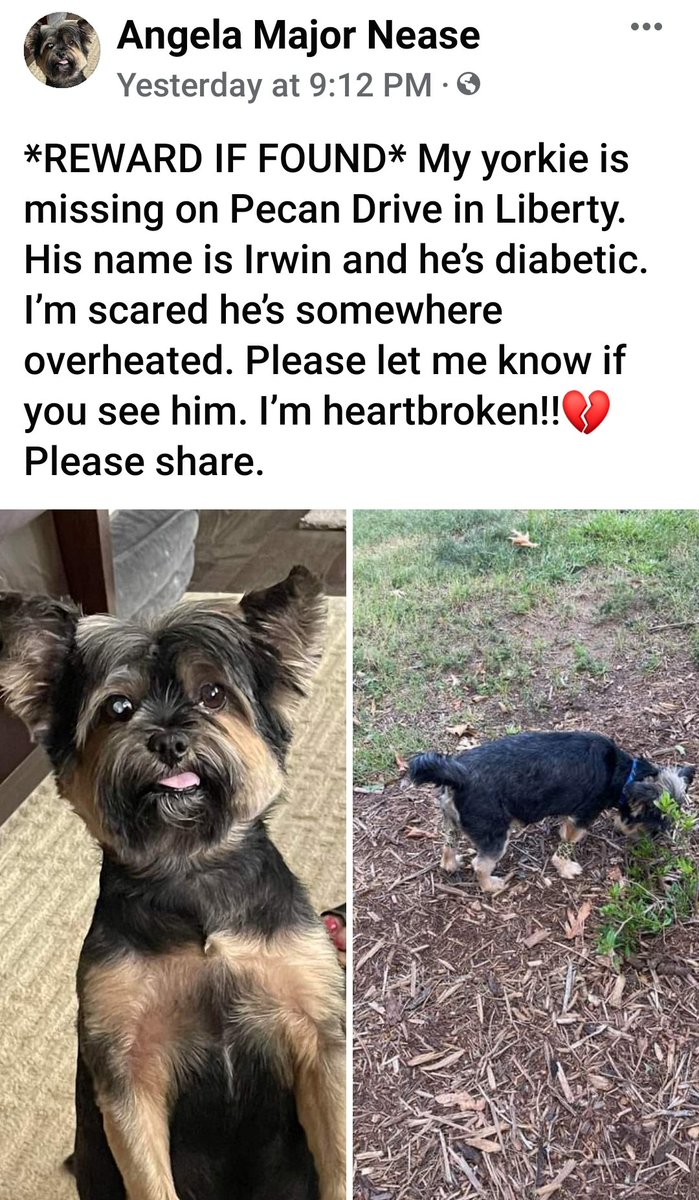 geezaboom's tweet photo. Liberty, SC !! Help her find her poor diabetic dog.
#LibertySC #Liberty #CentralSC https://t.co/Pc3caqAcZD