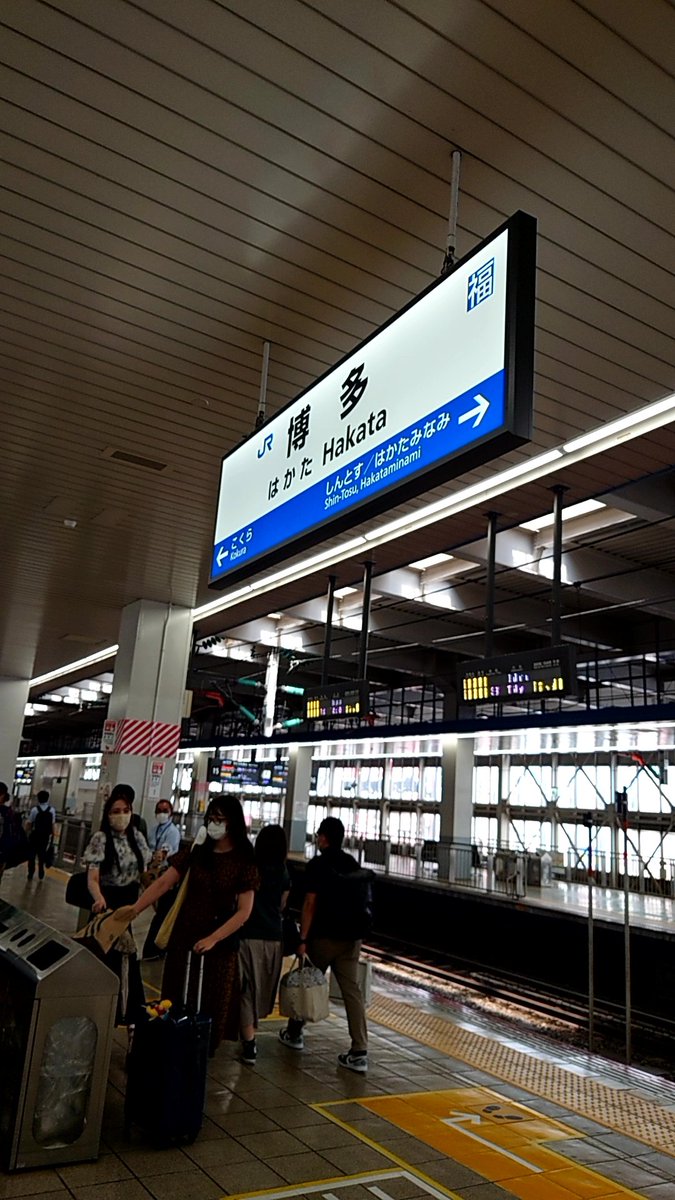 来ちゃいました
