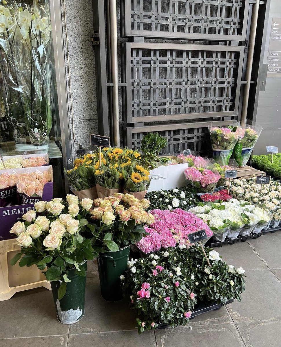 Cheaeryeonga's tweet photo. Pretty things to adore, blooming flowers that left a comfort to my dullness. London, you are so beautiful. https://t.co/TV8Ok8dRUN