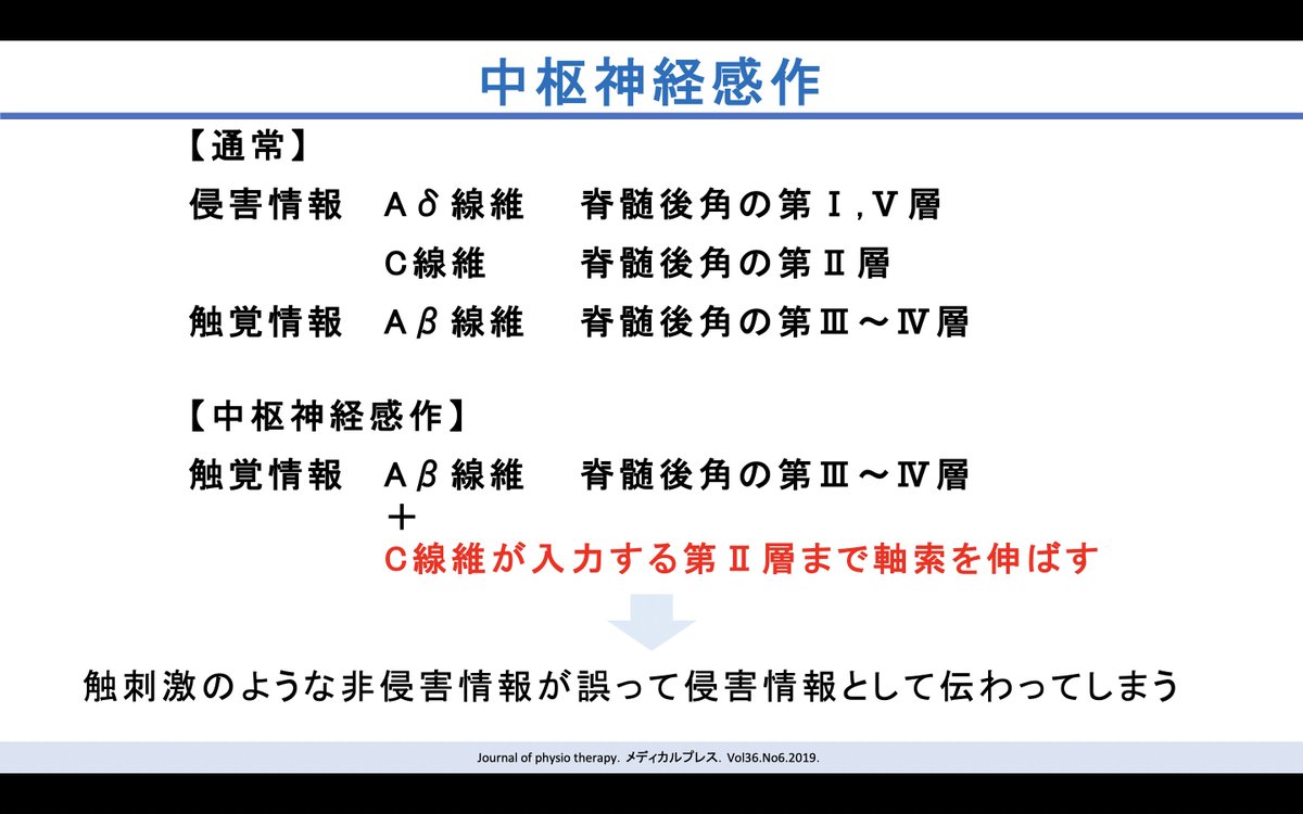 mitosports_jp's tweet photo. 【予習4】
「痛くはない」ような刺激にも「痛み」を感じる時があります https://t.co/HxZpM0658g