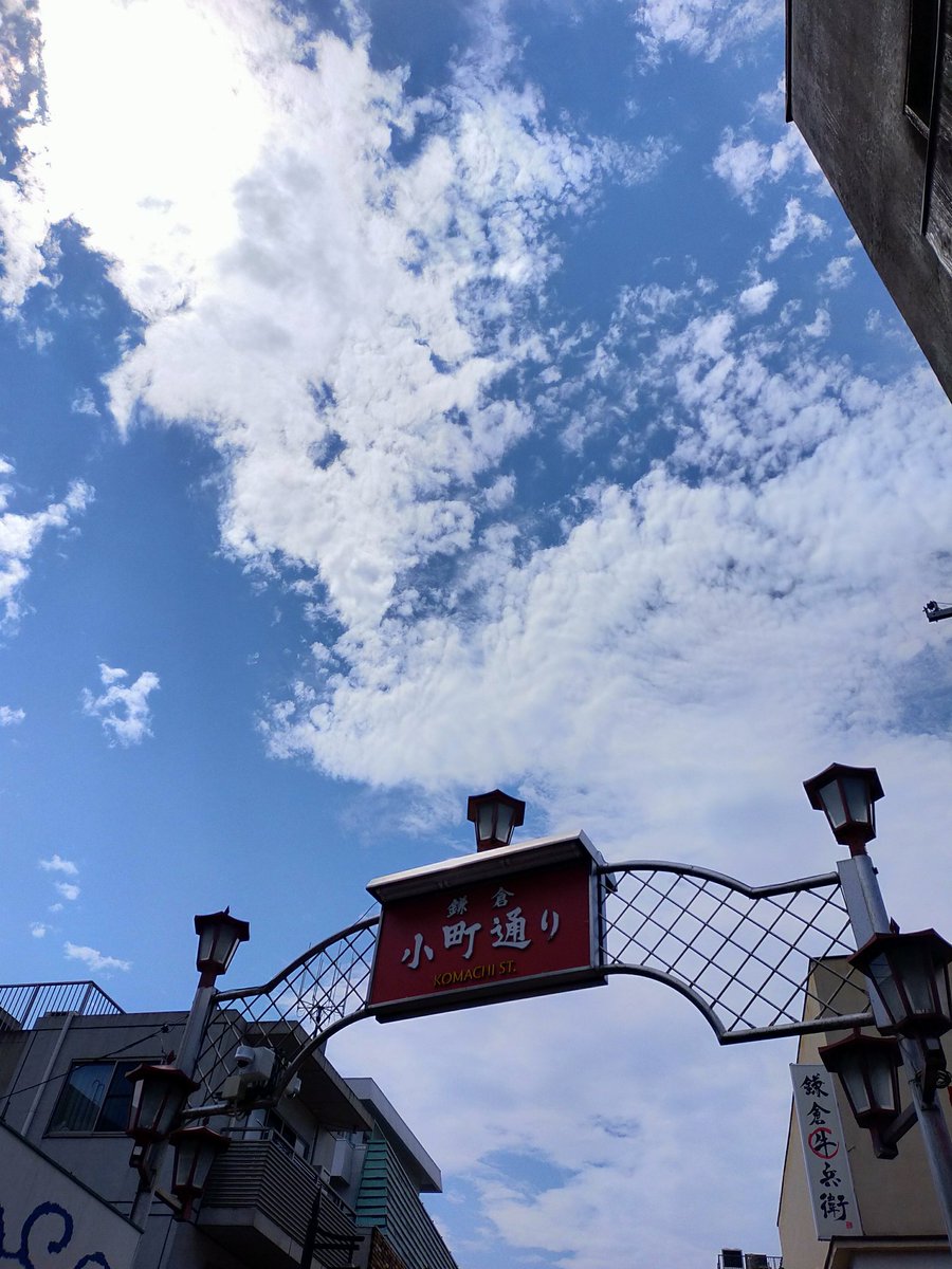 EBIKAMA's tweet photo. おはよう御座います。
#台風一過 とは
このことですねぇ😘
#鎌倉殿どうでしょう https://t.co/QMvRhE9glS