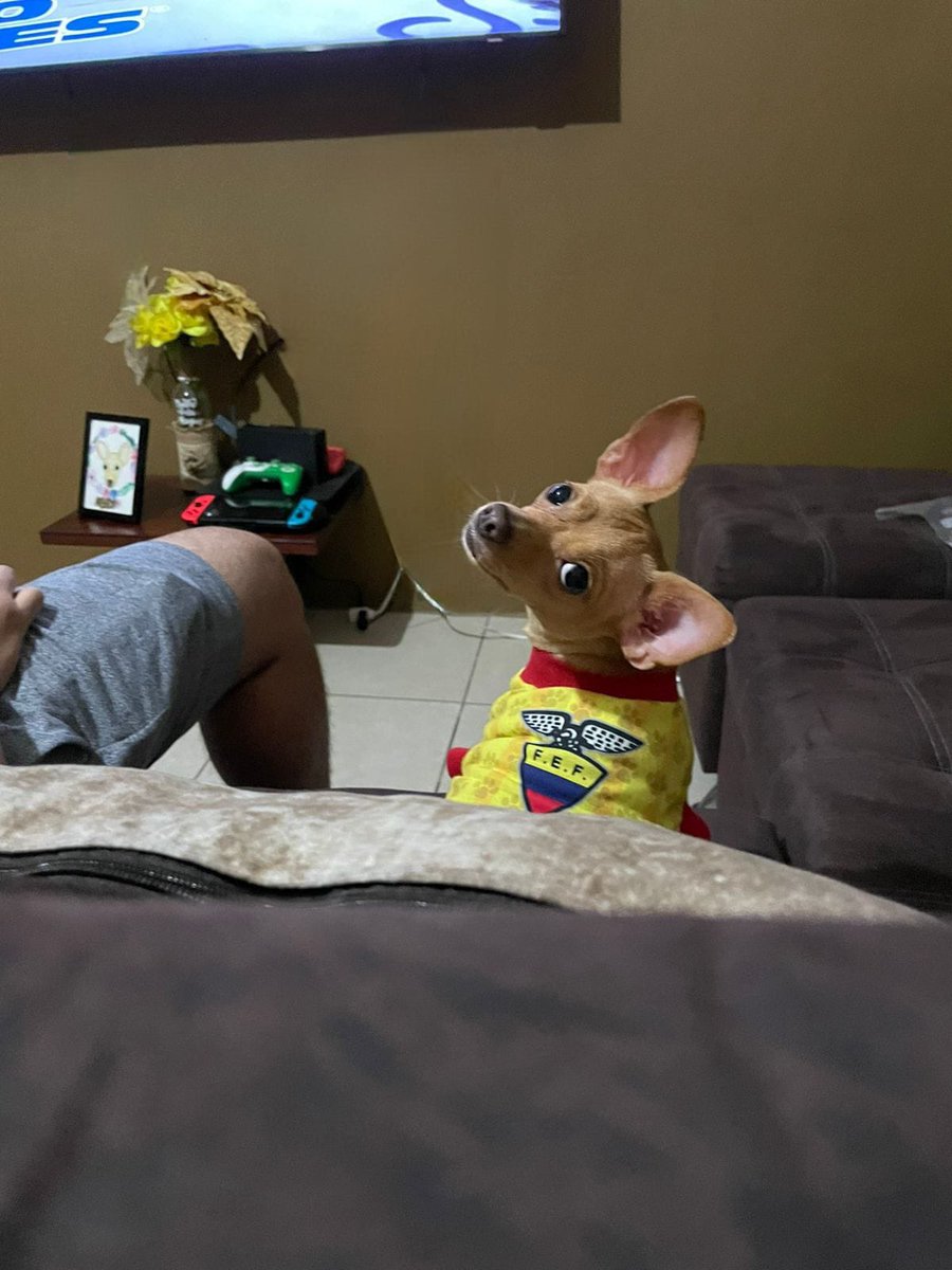 NashalidZM's tweet photo. Aquí esperando que @chitoveraUFC gane 🇪🇨#UFCSanDiego #ESPNKnockOut #ufc https://t.co/t47Ynan7c8