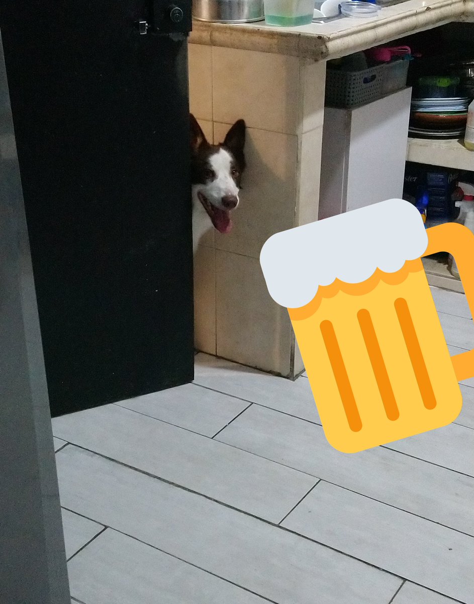 Shinobi_Splash's tweet photo. Good luck to all Shinobi Splash members in this tournament 🍻🔥
Esperemos que no haya más bugs 🤞 https://t.co/rLKFy4QXGh