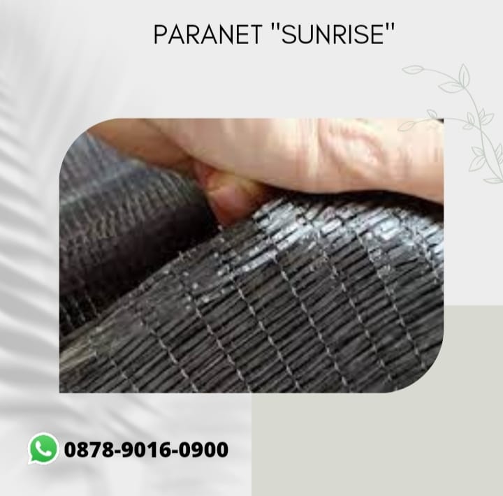 AgenParanet's tweet image. Kualitas terjamin, WA+6287890160900, agen Daya tahan Paranet  Surabaya

WA+6287890160900,paranet design,Paranet dan plastik uv,Daya tahan paranet,Design paranet,Dinding paranet

#paranetdesign,#Paranetdanplastikuv,#Dayatahanparanet,#Designparanet,#Dindingparanet