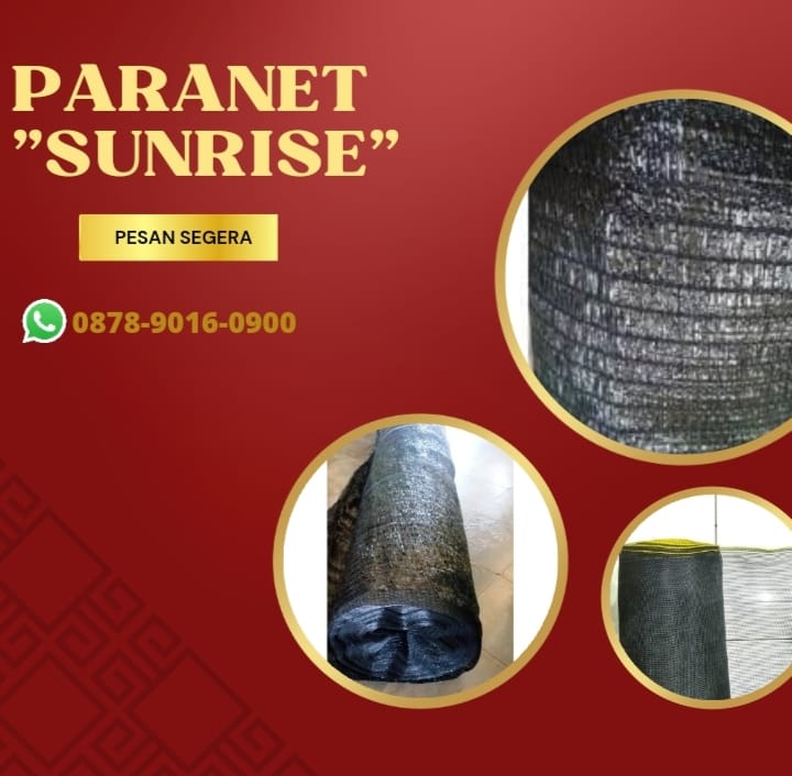 AgenParanet's tweet image. Kualitas terjamin, WA+6287890160900, agen Design Paranet Surabaya

WA+6287890160900,paranet design,Paranet dan plastik uv,Daya tahan paranet,Design paranet,Dinding paranet

#paranetdesign,#Paranetdanplastikuv,#Dayatahanparanet,#Designparanet,#Dindingparanet