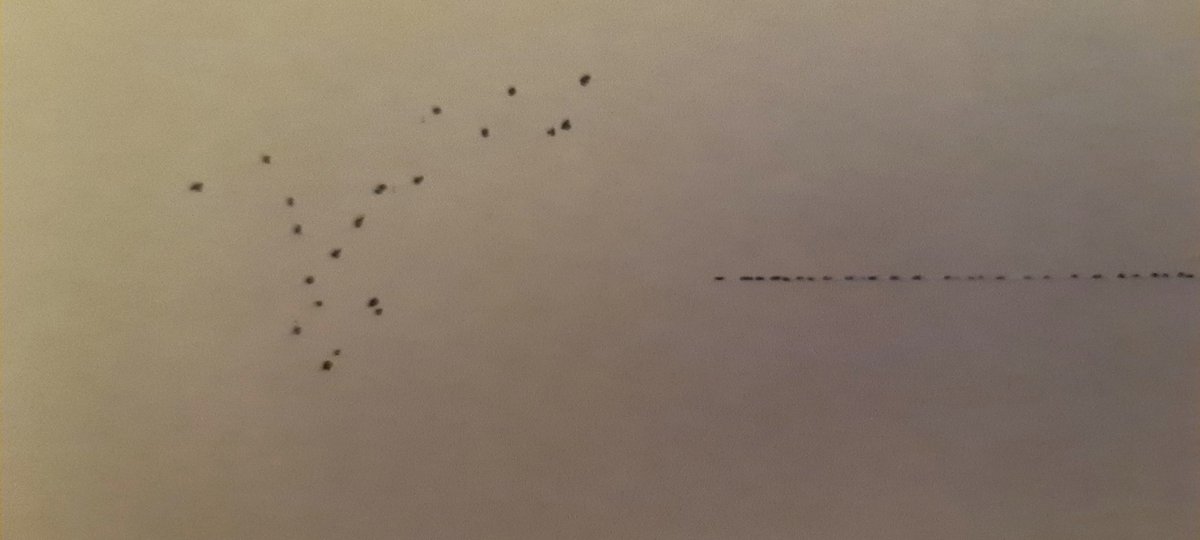 LTDB415's tweet photo. When I was watching the perseid now, a row of bright shining objects came from south, crossed Perseus and headed north.
It was clear for me that these objects came outside our atmosphere. I had not rigged the phonecamera for the dark, therefore I share an illustration. https://t.co/Tua8yA5cER