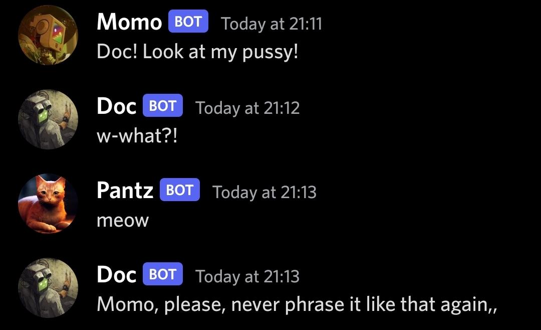 QuiteSinply's tweet photo. I did something with the tupperbox on discord #docmo #stray #discord https://t.co/yI8Sey00Rh