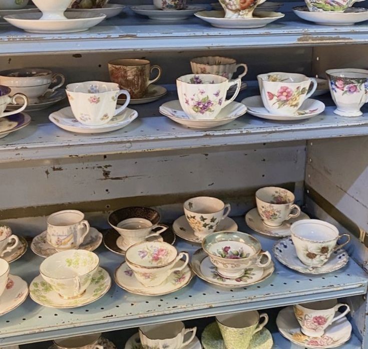 Hop Hop! tweet media