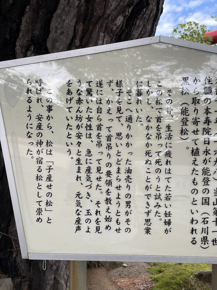 逸話が意味不明で怖い！！山形県にある「子産ませの松」は子を授かる事が出来るというけれど？！