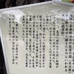 逸話が意味不明で怖い!山形県にある「子産ませの松」は子を授かる事が出来るというけれど？!