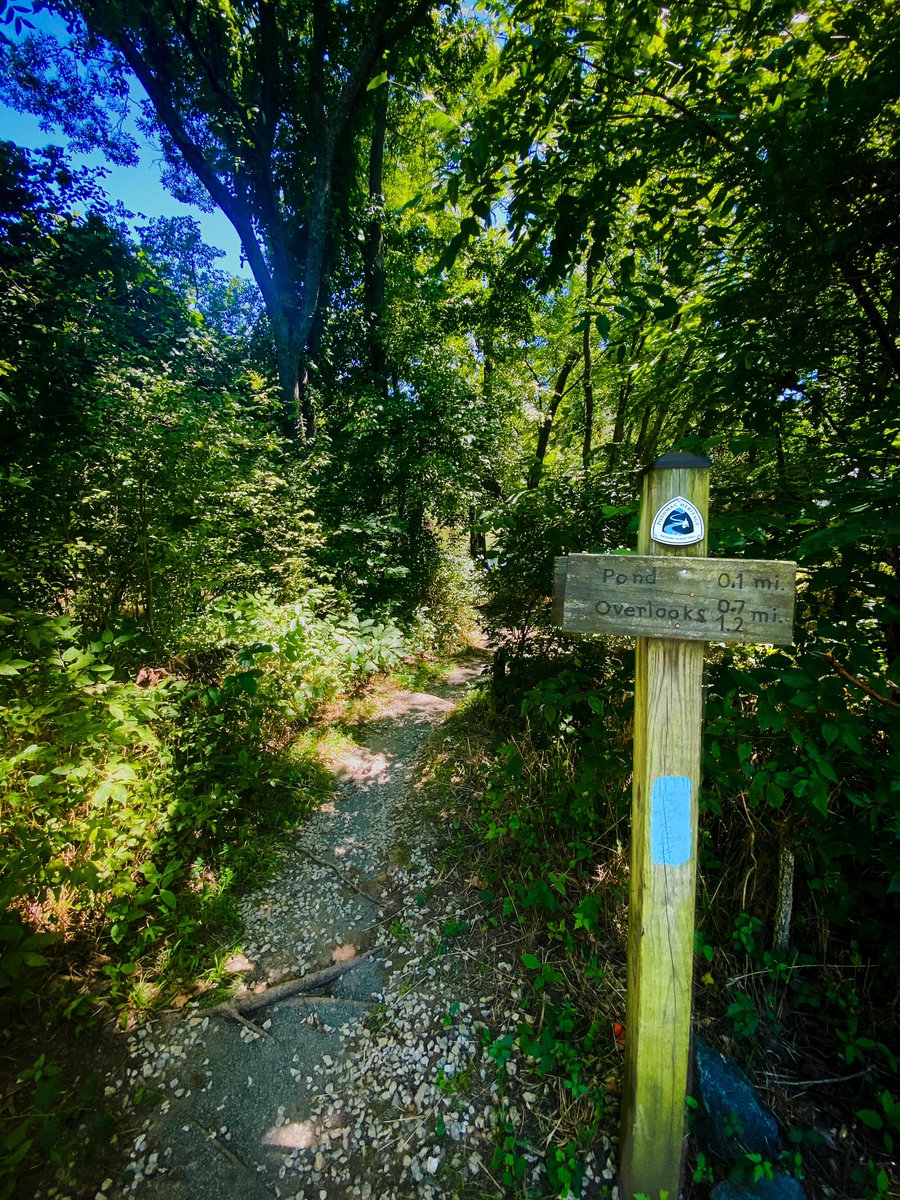 CaitBarron's tweet photo. Spent a gorgeous sunny, heat and humidity reduced weekend exploring the Potomac Heritage Scenic Trail. https://t.co/z9Qu0P1psW