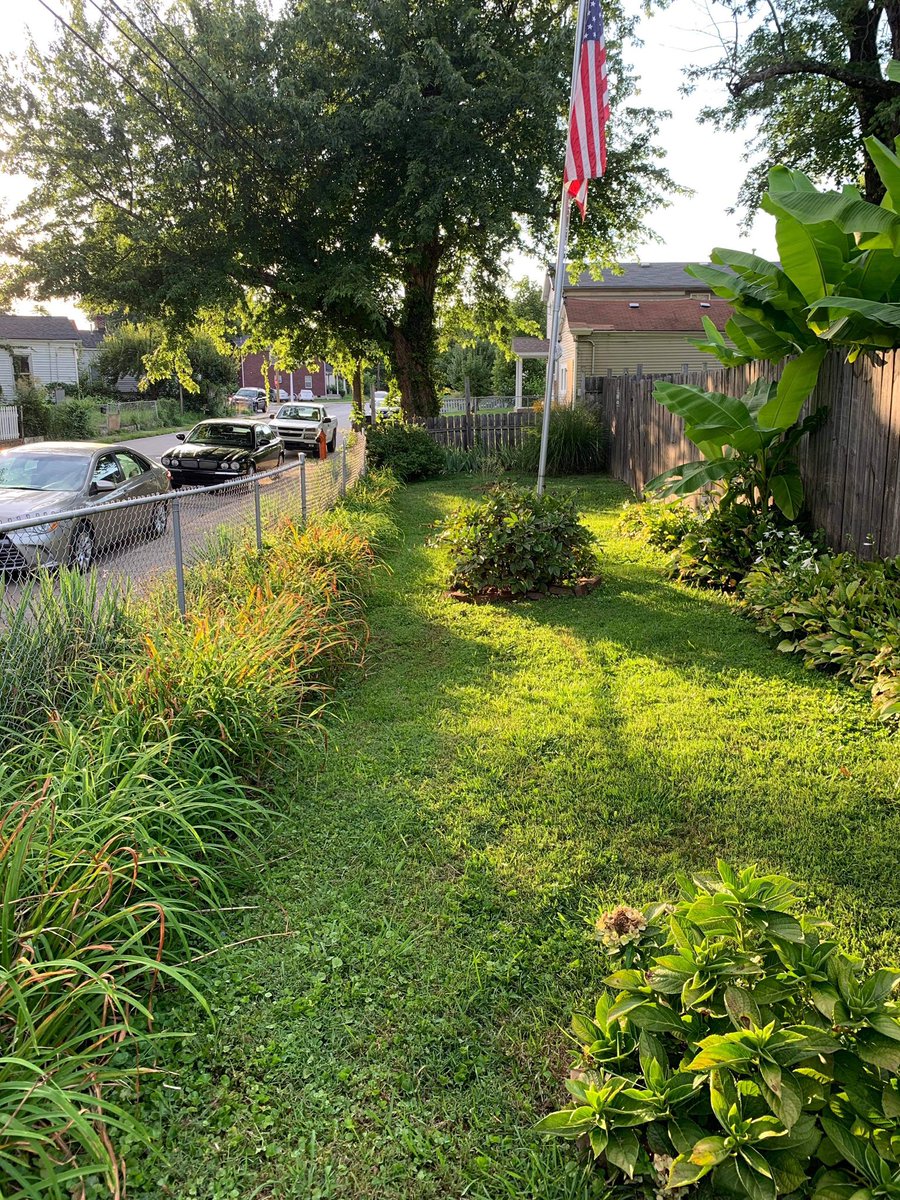 deborah_saffer's tweet photo. OMGosh, what a busy day. @josh_saffer & I #weeded & #raked the front yard. #Painted the front #Door white. Touched up the #ChainLink fence. I need a new #Awning‼️Getting there 🏡❤️ https://t.co/ISgOofT2UG