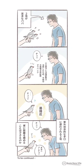 恒例の2号vsパパシリーズに進展の兆し?
#文鳥
#bunchoslife 