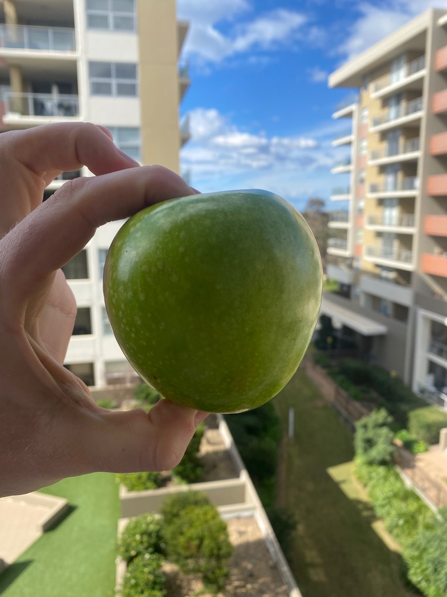 PatUOW's tweet photo. Day 4 of “Operation Crunch and Sip”, i’ve heard an apple a day keeps the doc away… but i wonder what getting my 7 a day will get me? #MARK320 https://t.co/Ilpf4CrWjQ