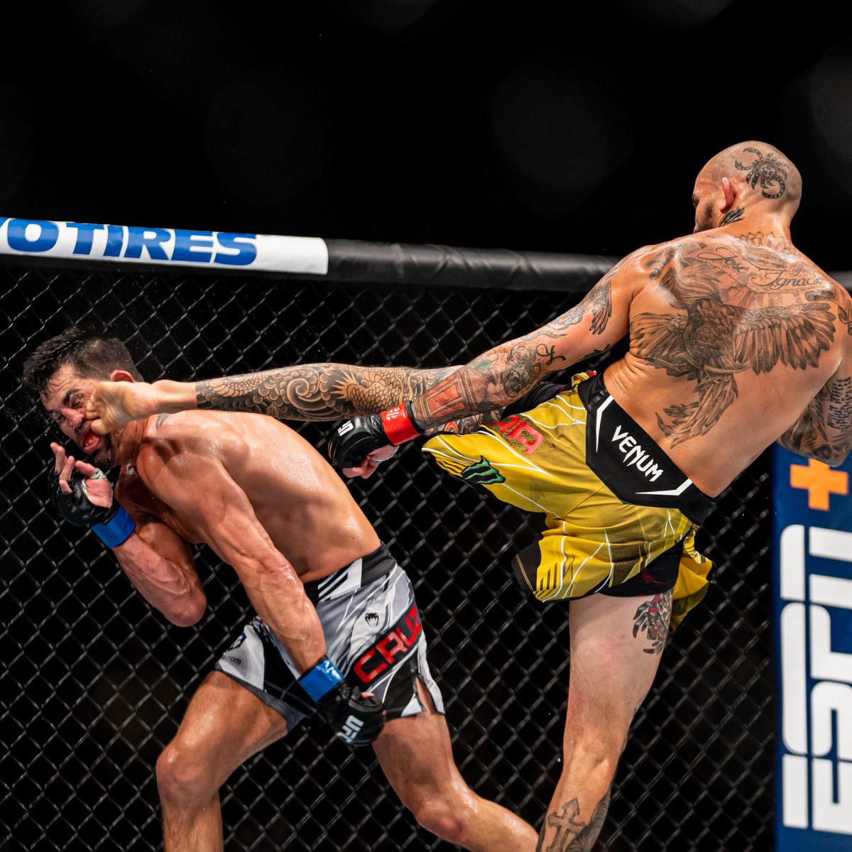 UFCEurope's tweet photo. FLUSH. 🥶 #UFCSanDiego https://t.co/Ck2FZbq5zu