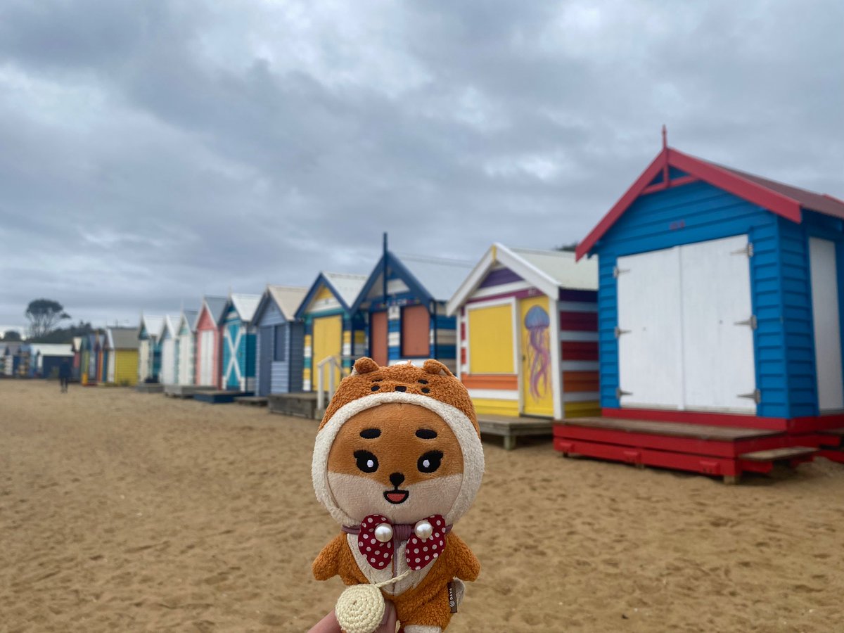 ㅈ 🌠 tweet media