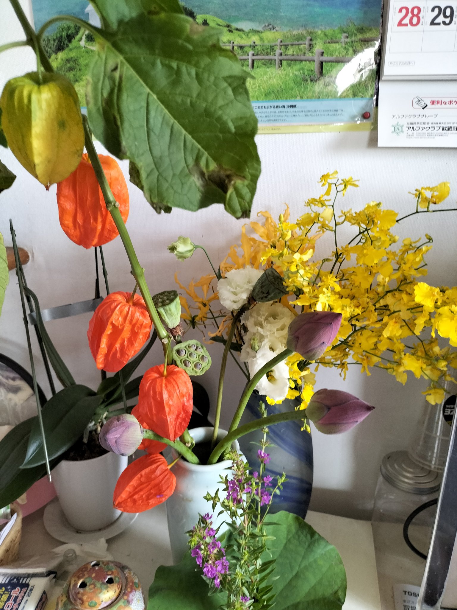 花の雫 Nichoshio29 Twitter
