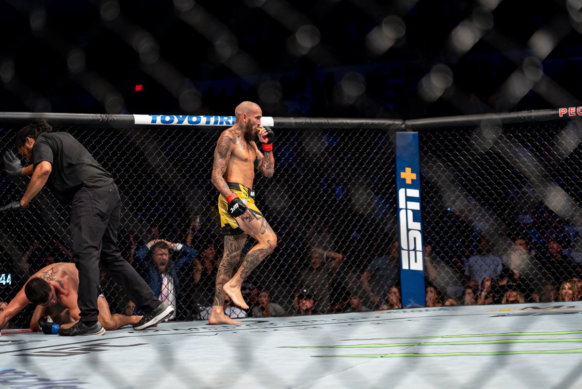 UFCEspanol's tweet photo. Un orgullo🇪🇨🔥 Que sigue para @chitoveraUFC ⁉️🏆 https://t.co/Yaal0Yx85t