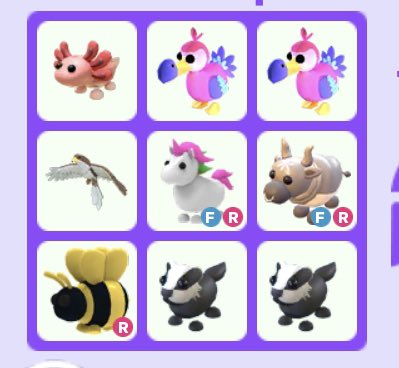 Trading also 2 other badgers LF: nothing Offer <3 #adoptmecrosstrades #adoptmegiveaway #Adoptmetrades #adoptmetrading #adoptmetradings #AMTrading #AMTradingTuesday #adoptmecrosstrading