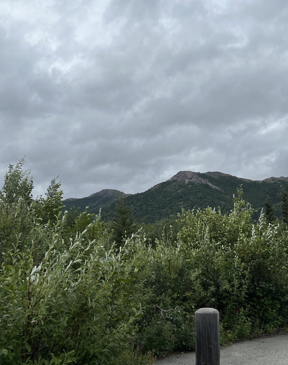 DonnerNicholas's tweet photo. How it started… How it ended… Denali National Park is amazing! I’ll spare everyone the pictures of the blisters it took to get there. #hiking #Alaska https://t.co/4zYn82LdFw