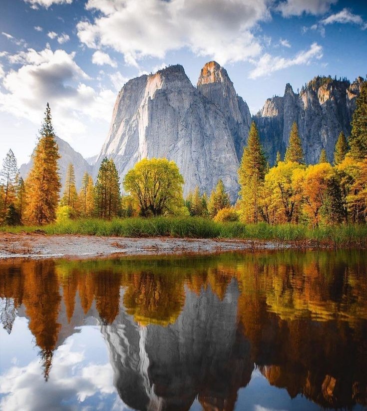 Yosemite National Park 🧡💛
